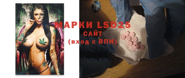 шишки Арсеньев