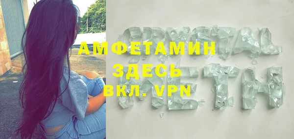 шишки Арсеньев
