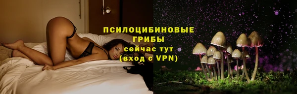 шишки Арсеньев