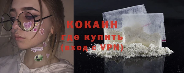 шишки Арсеньев