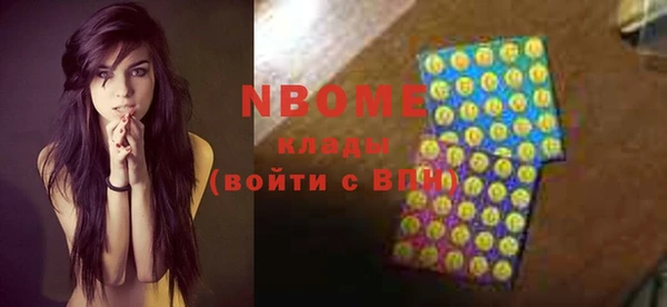 шишки Арсеньев