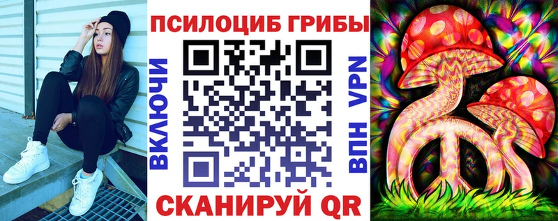 купить наркотики сайты  Ардатов  Псилоцибиновые грибы Psilocybe 