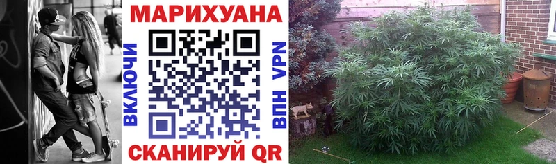 Шишки марихуана гибрид как найти закладки Ардатов